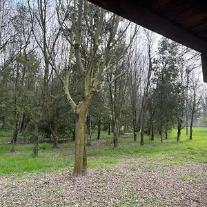 Woods Appartamento Verona